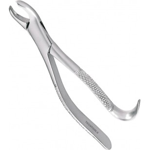 Extracting Forceps Adults 